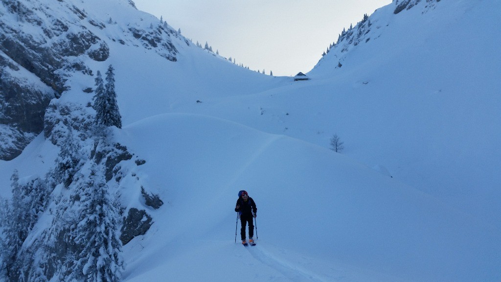 #3 Sous bovinant Sous bovinant