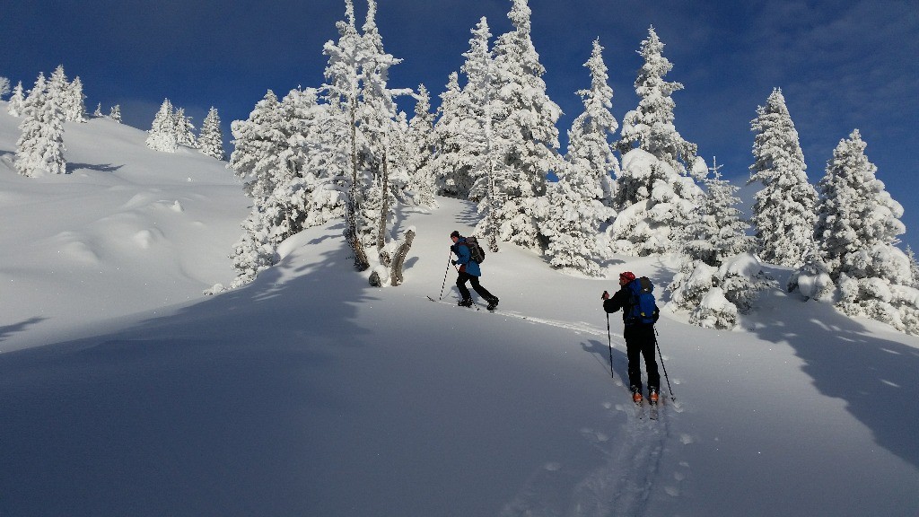#4 Des conditions magnifiques Des conditions magnifiques