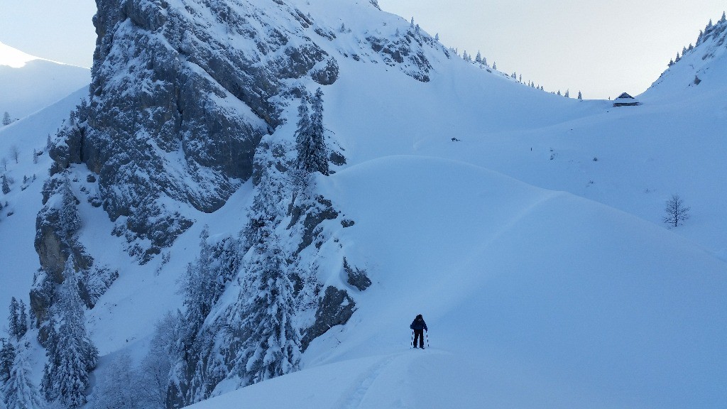 #1 Seuls au monde ! Seuls au monde !