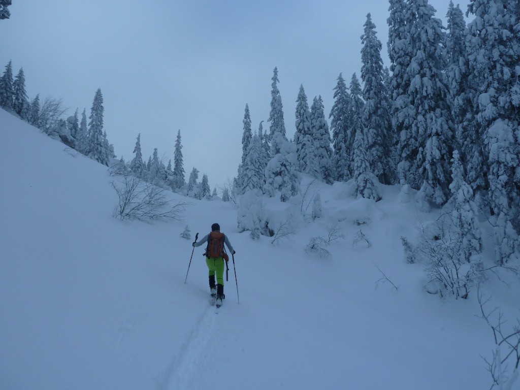 #6 Aurel en finit, moi j Aurel en finit, moi j'ai rien foutu, c'est bon ça