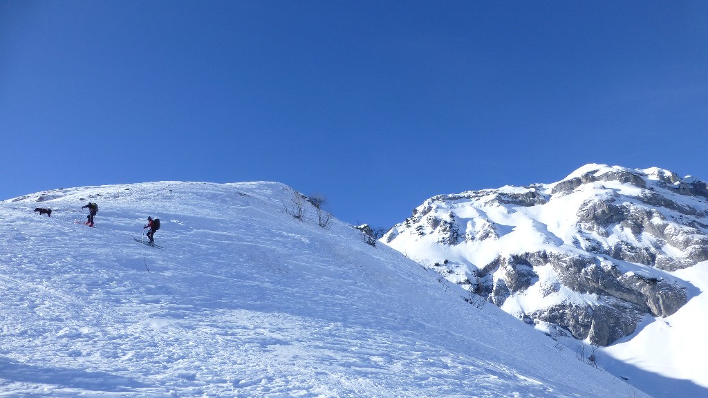 Bientôt au sommet