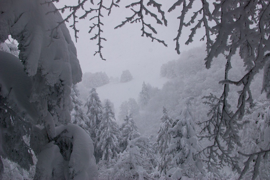 #3 Les crêtes prisent dans le brouillard. Le ski sera meilleur en forêt.
Les crêtes prisent dans le brouillard. Le ski sera meilleur en forêt.