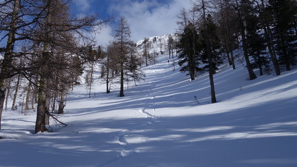 Bon ski