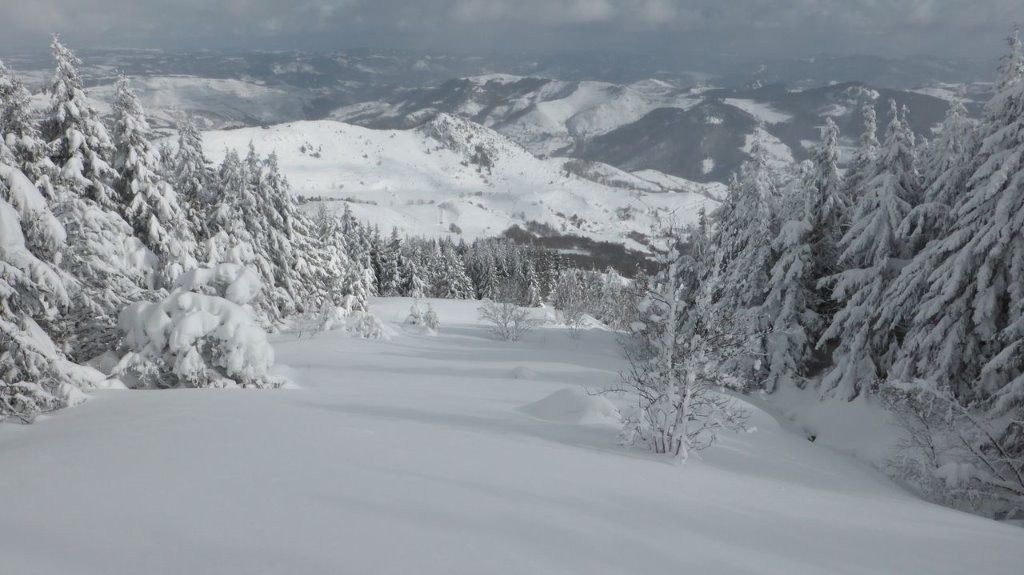 #6 C C'est excellent encore plus bas