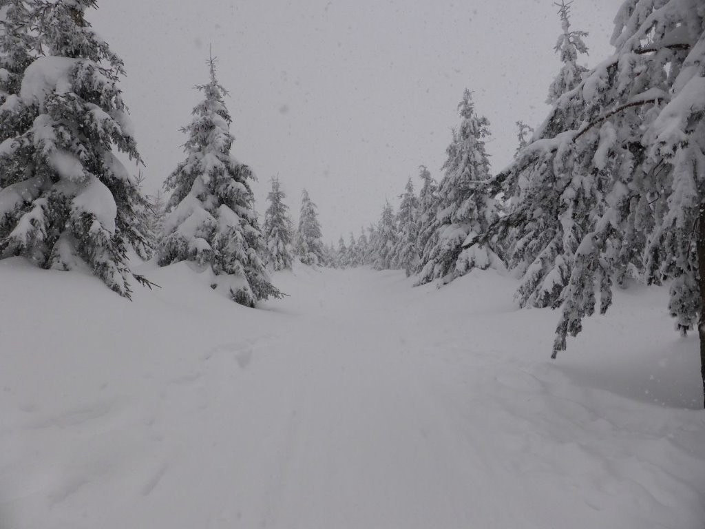 #13 Sentier de Jacassy: un déluge de flocons Sentier de Jacassy: un déluge de flocons