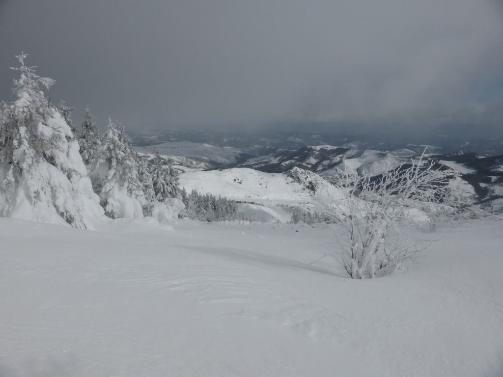 #3 Champ de poudre vierge Champ de poudre vierge