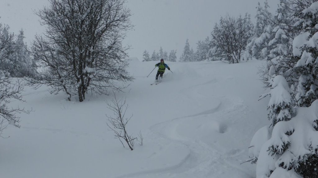 #10 Voilà un compagnon de glisse! Voilà un compagnon de glisse!