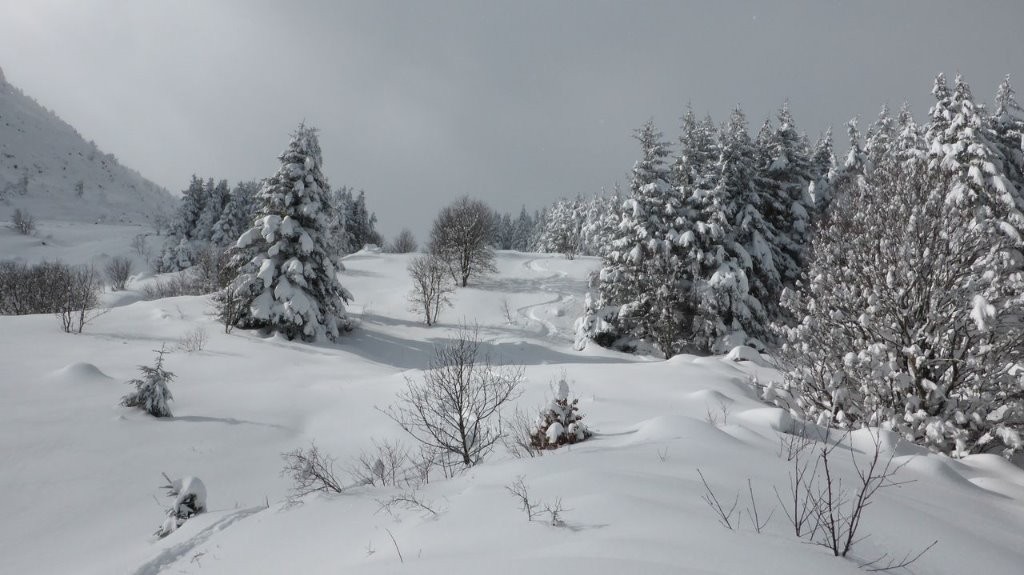 #7 Trop bon! Trop bon!