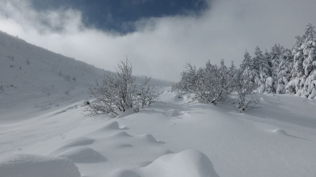 #5 Peu à peu les clapas sont recouverts Peu à peu les clapas sont recouverts