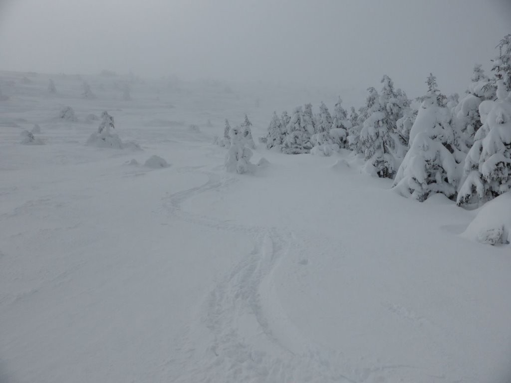 #2 Déjà très bon sur le haut Déjà très bon sur le haut