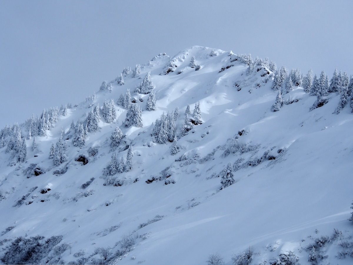 La Roche Pourrie versant W (2037 m).