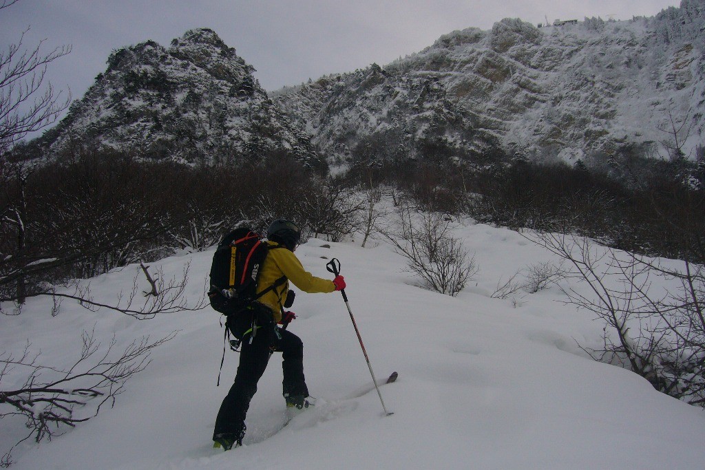 Au dessus de la route forestière