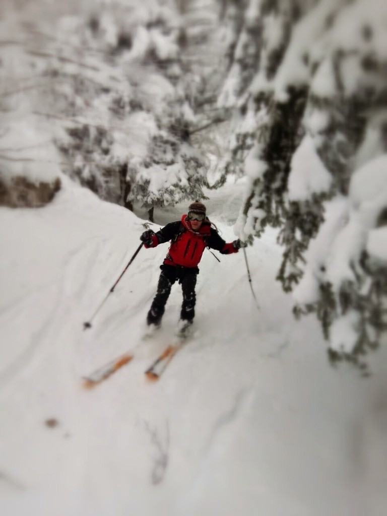 Forêt très ludique