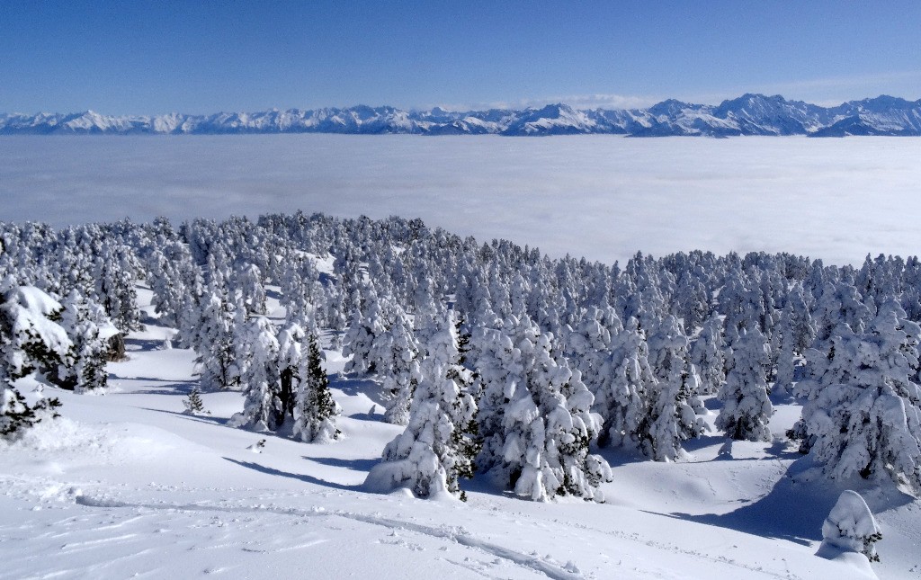 #4 Au dessus de 1600 Au dessus de 1600