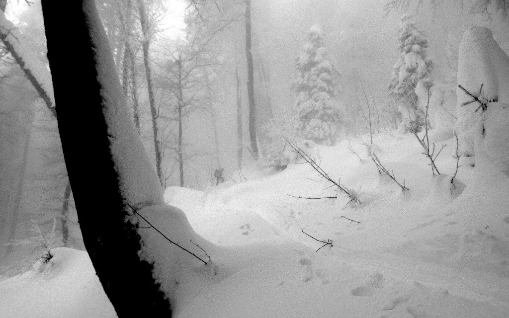 #1 En dessous de 1600 En dessous de 1600