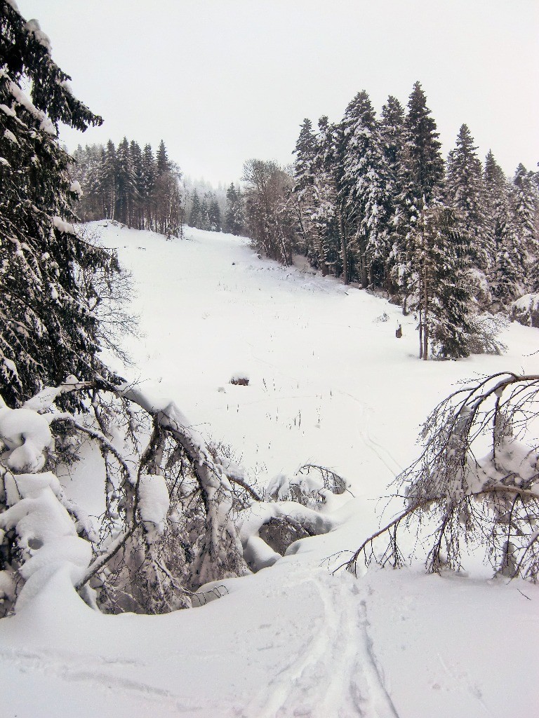 #10 La première grande trouée après le Ronzier. La première grande trouée après le Ronzier.