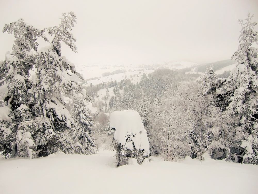 #5 curiosité enneigée. curiosité enneigée.