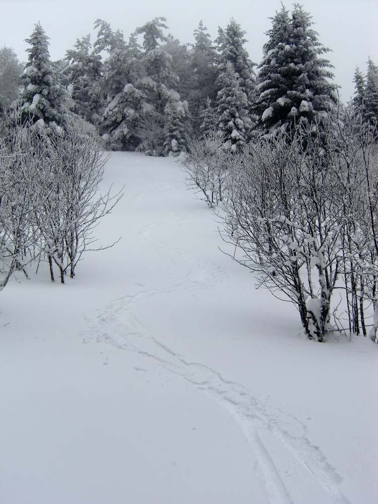 #8 Trouée discrète, il faut connaître! Trouée discrète, il faut connaître!