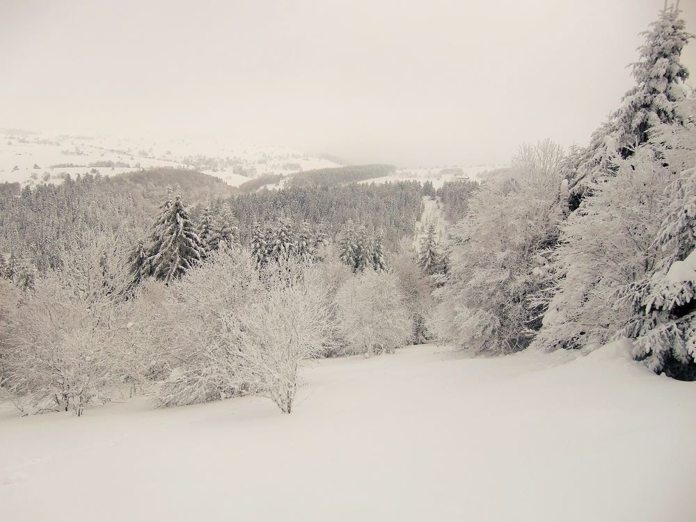 #4 Dans le retro en montant: champs de neige!
Dans le retro en montant: champs de neige!