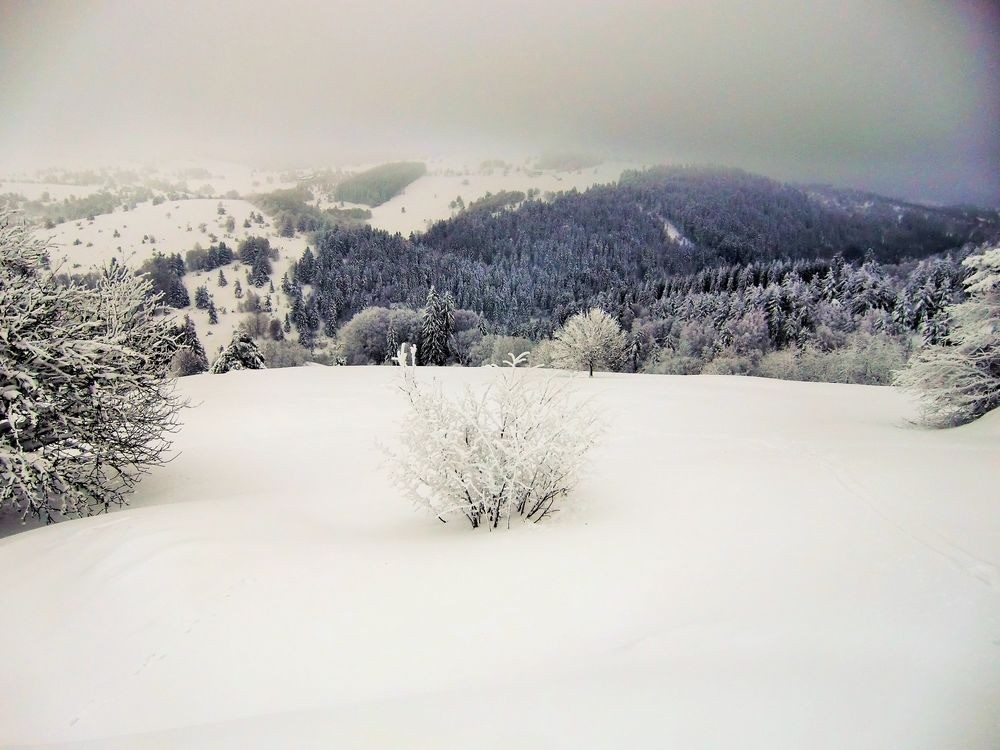#7 La vue en montant en haut des Jassoux. La vue en montant en haut des Jassoux.
