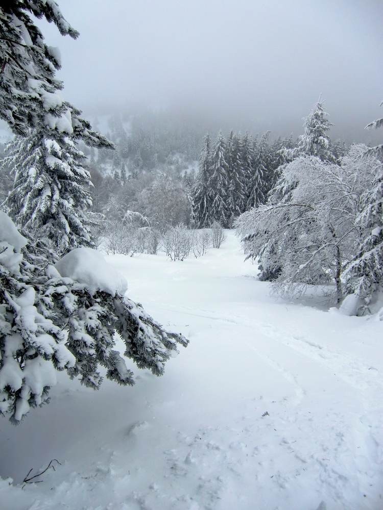 #9 Vue d Vue d'en haut en remontant à viallevieille.