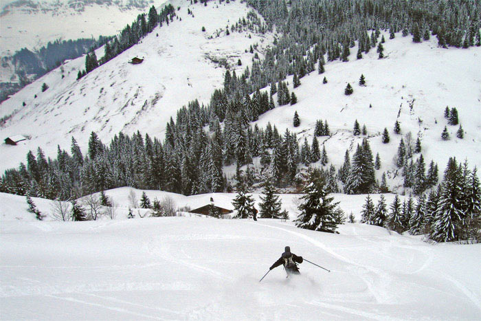 #4 L L'Eperon : Le Vallon du Jaillet.