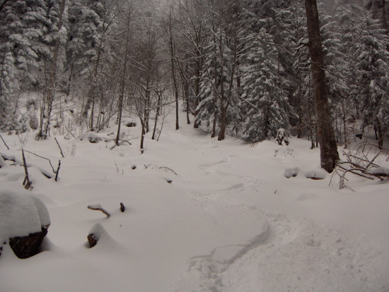 #4 couloir : fin de se petit couloir couloir : fin de se petit couloir