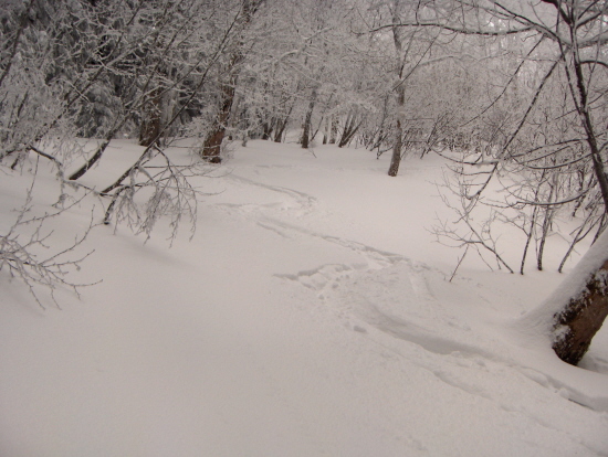 #3 trace : bonne neige et belle trace trace : bonne neige et belle trace