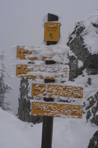 #2 Col de vermorel : Le panneau au col de Vermorel. On n Col de vermorel : Le panneau au col de Vermorel. On n'est pas encore à la Pinéea !