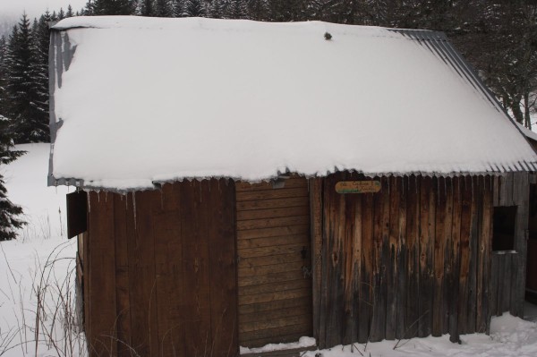 #5 Cabane de Fanfan : La "cabane de Fanfan" dans la clairière de Girieux. Cabane de Fanfan : La "cabane de Fanfan" dans la clairière de Girieux.