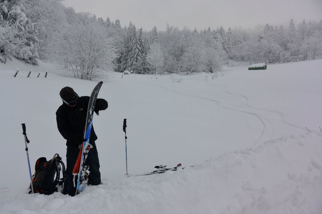 #17 Repeautage à Chaumienne Repeautage à Chaumienne