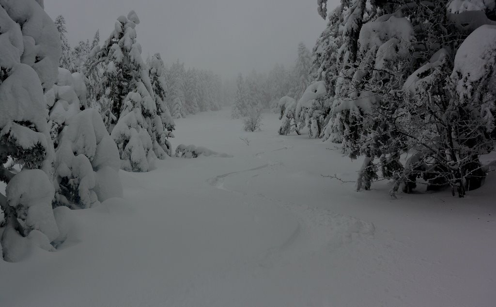 #14 Chirat côté ouest de l Chirat côté ouest de l'Etançon: magique!