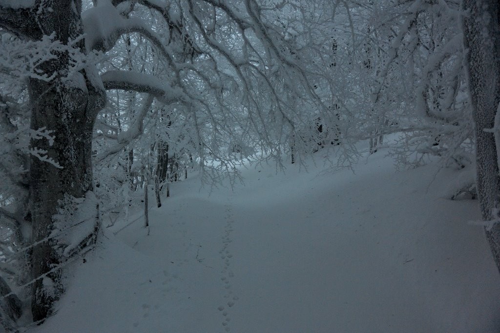 #1 1ère montée, calme du petit matin 1ère montée, calme du petit matin