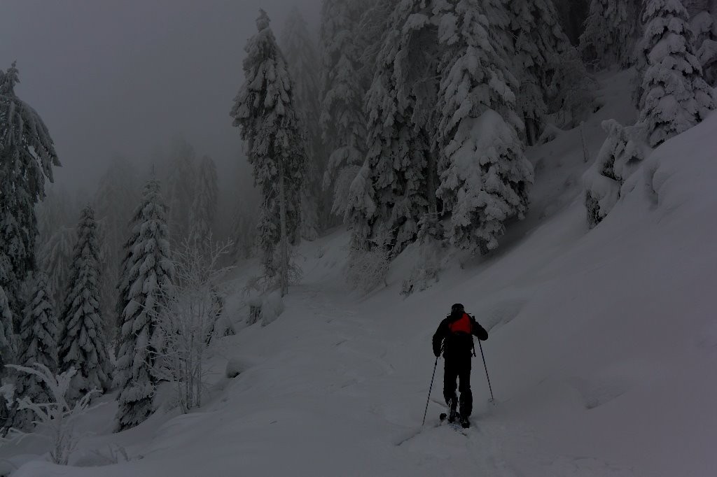 #13 Début de remontée sur nos traces, avant une forêt... bucheron/sanglier Début de remontée sur nos traces, avant une forêt... bucheron/sanglier