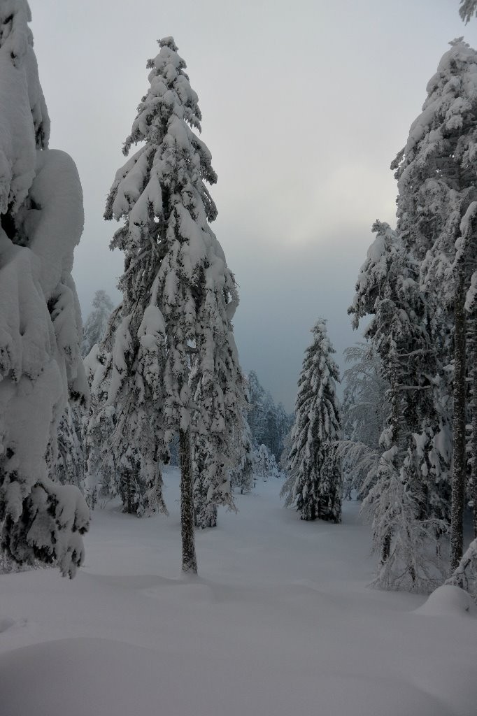 #2 Passage dans la célèbre combe SSE Passage dans la célèbre combe SSE