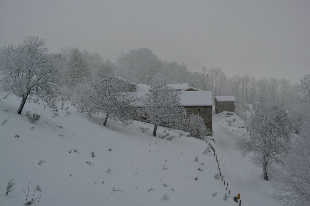 #16 Chaumienne Chaumienne