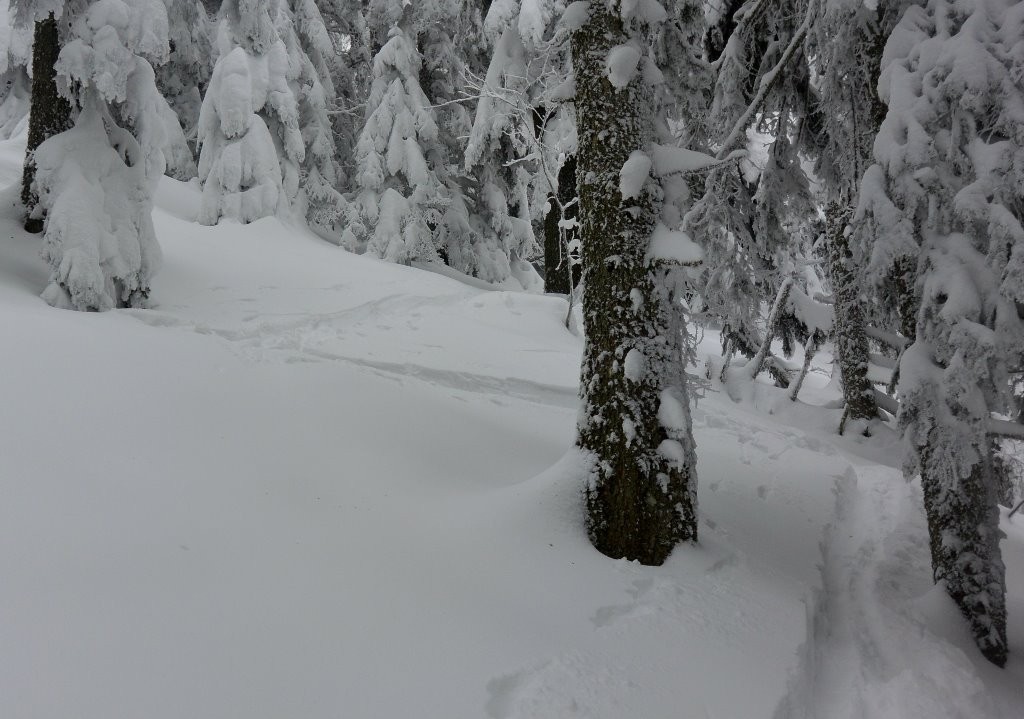 #15 Recyclage de la trace du matin: les conversions ça existe au Pilat! Recyclage de la trace du matin: les conversions ça existe au Pilat!