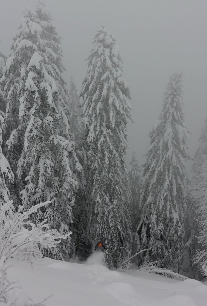 #11 Pierre ronde: et hop! Pierre ronde: et hop!