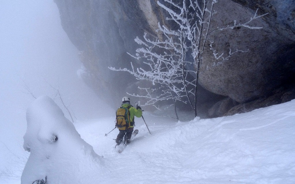 #4 Dans la Draille Dans la Draille