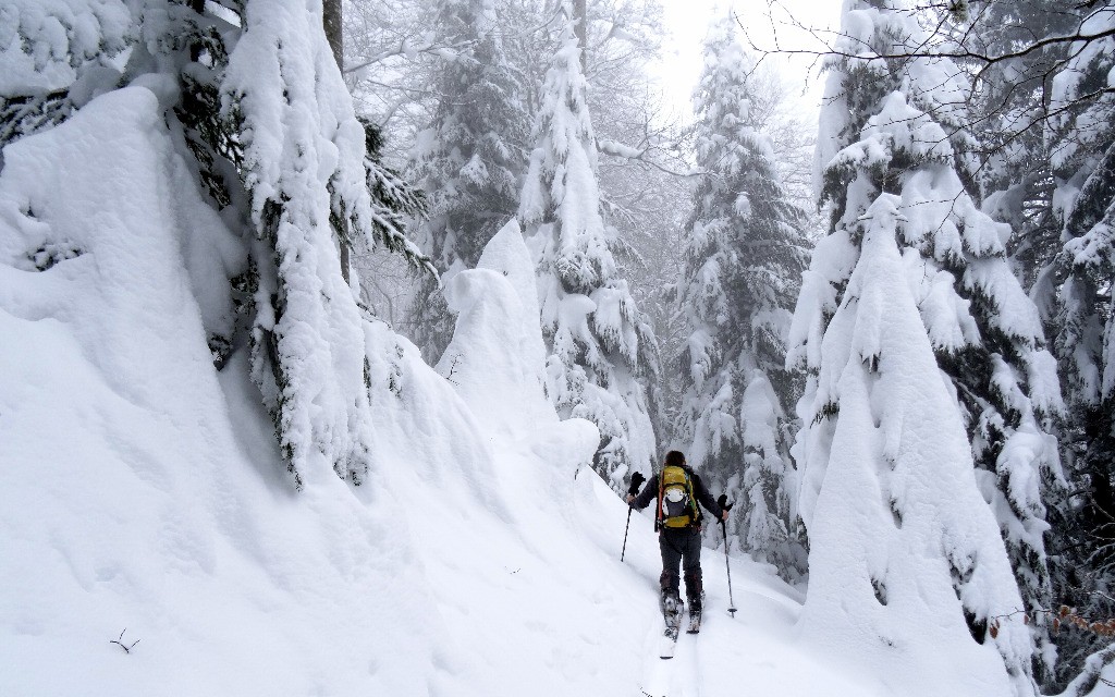 #1 Sous pré Orcel Sous pré Orcel