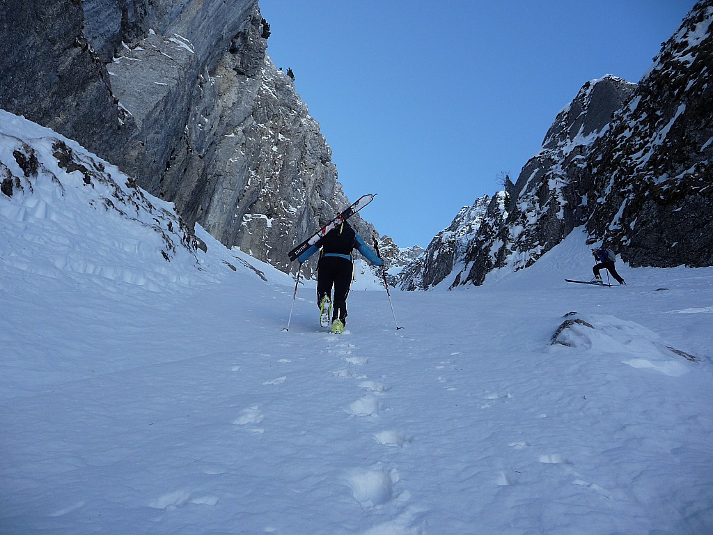 Franck à la trace