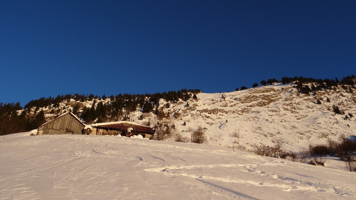 #21 Effectivement, ça passait pas... Effectivement, ça passait pas...