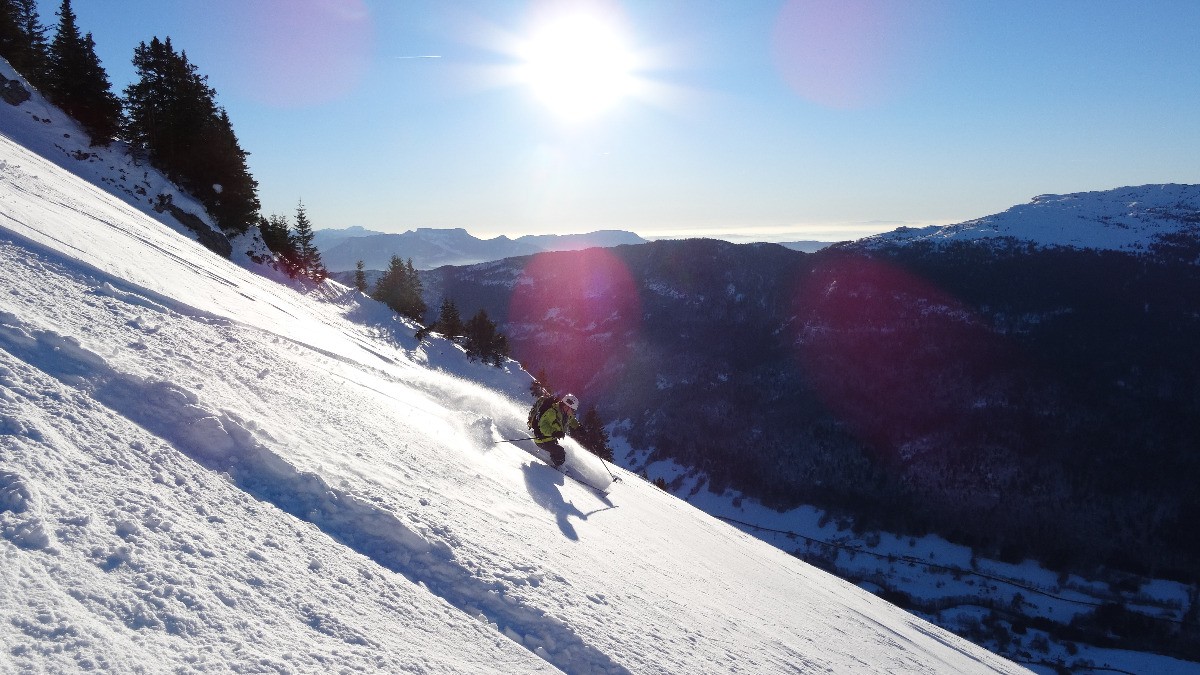 #20 Steph se gave Steph se gave