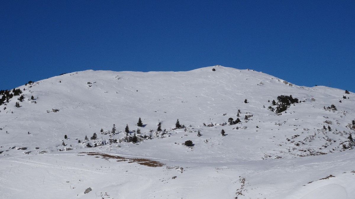 #10 Dent de Rossanaz, bonne neige bientot moquette ! Dent de Rossanaz, bonne neige bientot moquette !