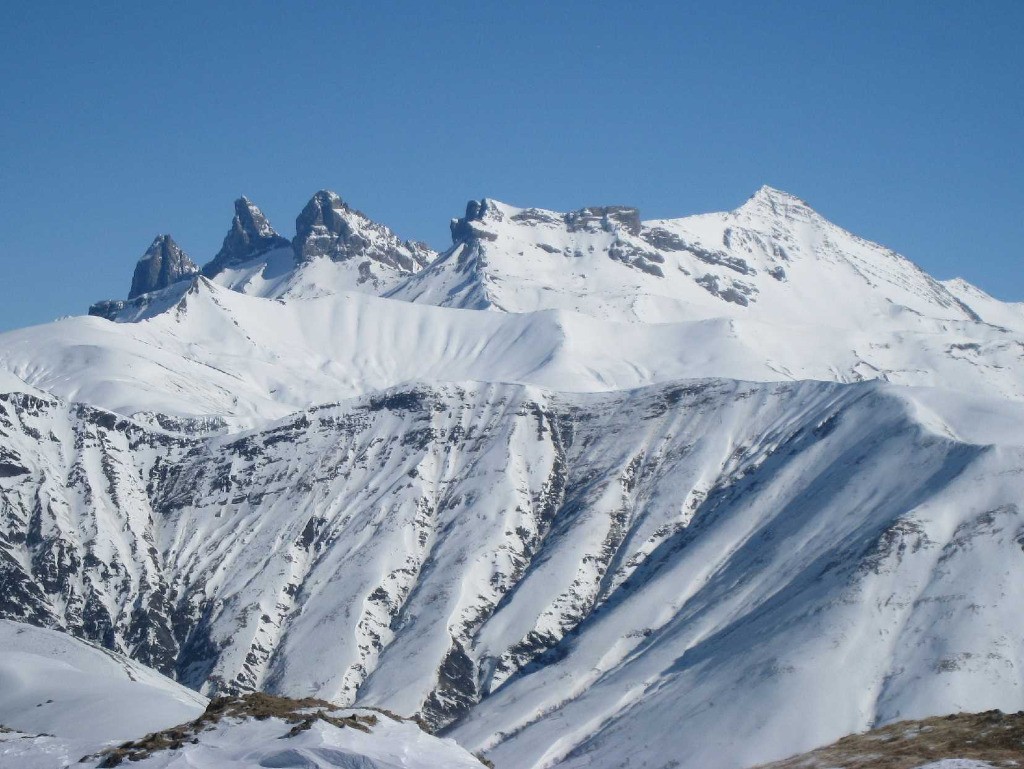 #2 Evident ... Evident ...