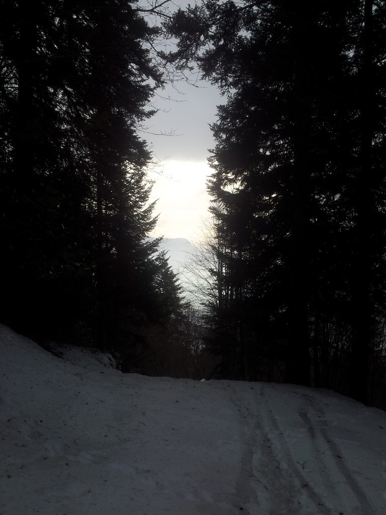 trouée de soleil sous les pierres droites
