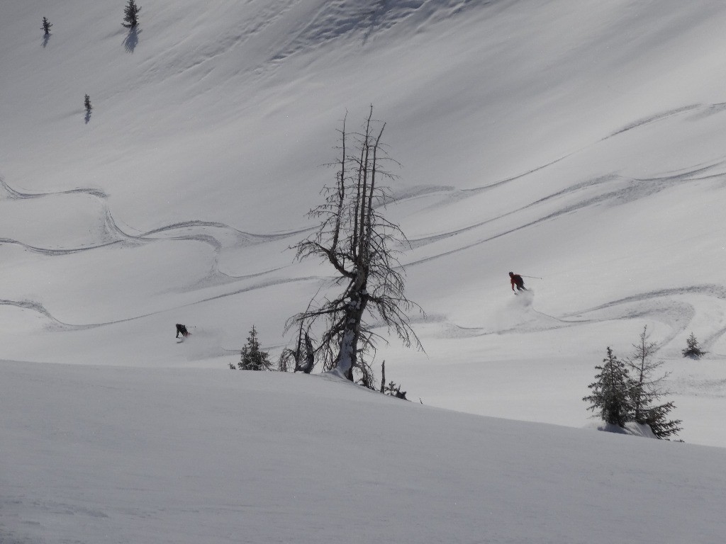 #8 Belles courbes dans la descente de la combe. Belles courbes dans la descente de la combe.