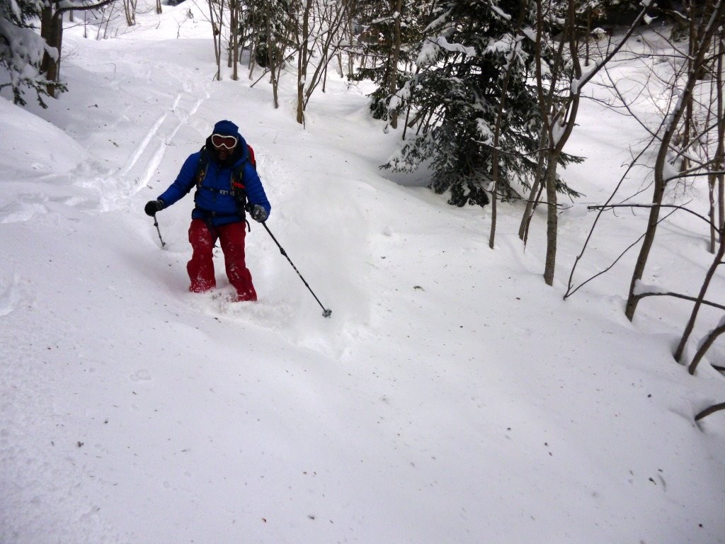 sous le colombier