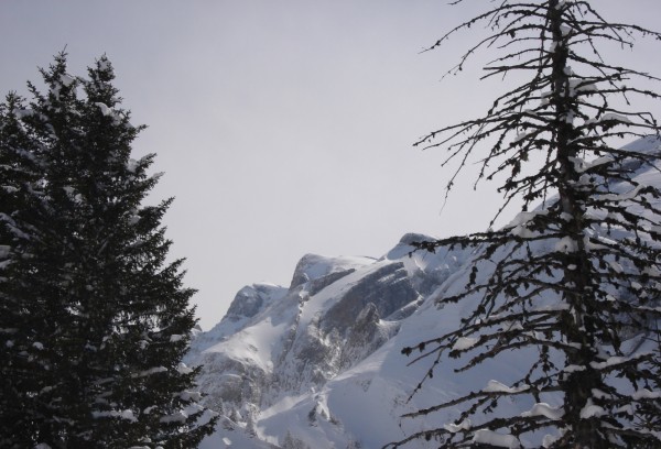#3 Les dents blanche occidentales : Vue des dents blanches occidentales à la montée. Les dents blanche occidentales : Vue des dents blanches occidentales à la montée.