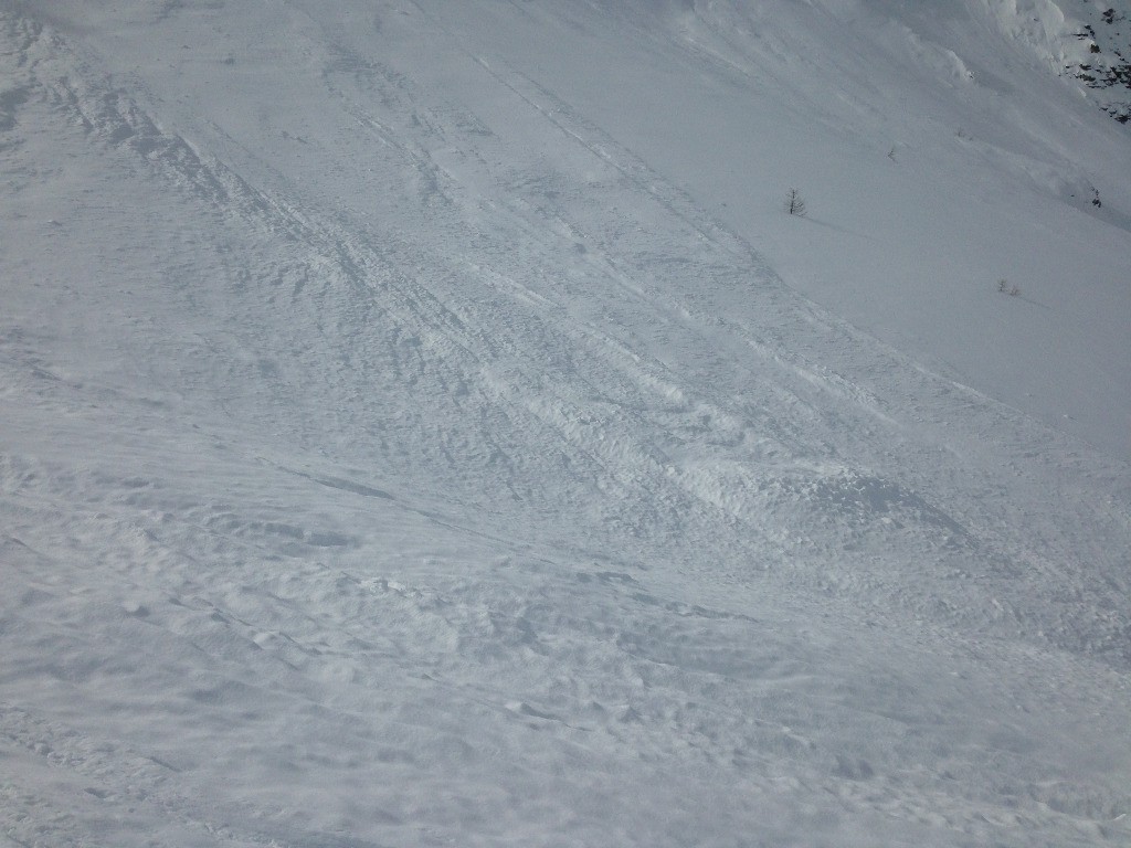 Coulées récentes de neige fraîche